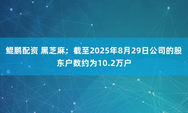 鲲鹏配资 黑芝麻：截至2025年8月29日公司的股东户数约为10.2万户